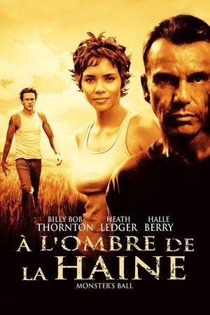 À  l'ombre de la haine streaming