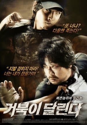 거북이 달린다 streaming