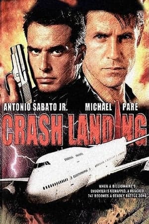 Crash Landing streaming