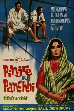 Pinjre Ke Panchhi streaming