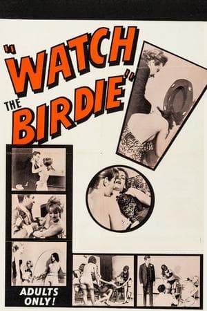 Watch the Birdie streaming