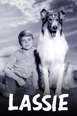 Lassie streaming
