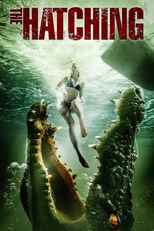 l'éclosion streaming