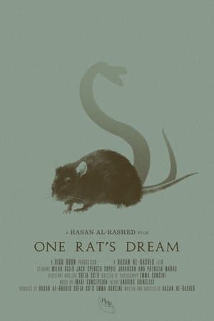 One Rat's Dream streaming