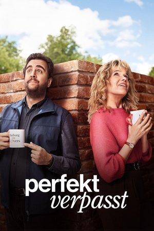 Parfaitement raté streaming