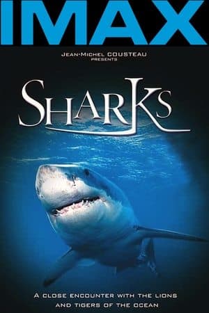 Sharks 3D streaming