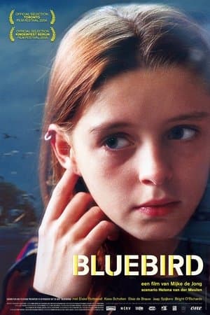 Bluebird streaming