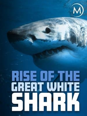 Rise Of The Great White Shark streaming