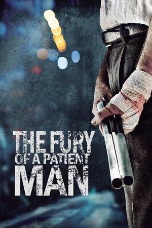 The Fury of a Patient Man streaming