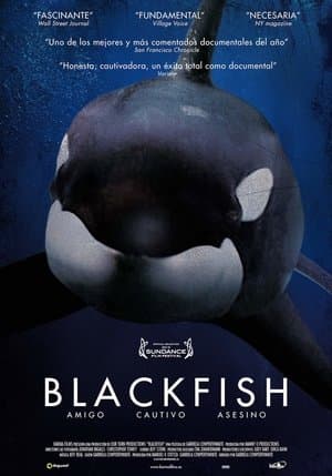 Blackfish streaming