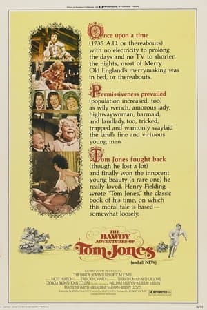 The Bawdy Adventures of Tom Jones streaming