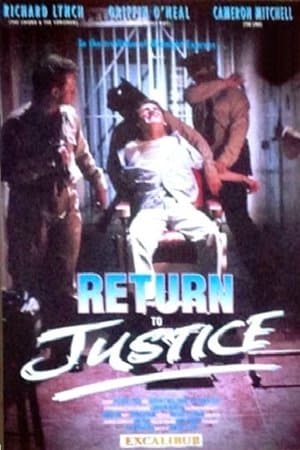 Return to Justice streaming