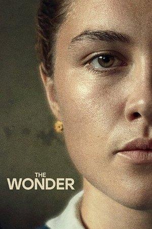 The Wonder streaming