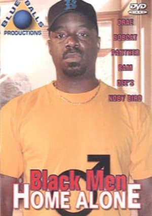 Black Men Home Alone streaming