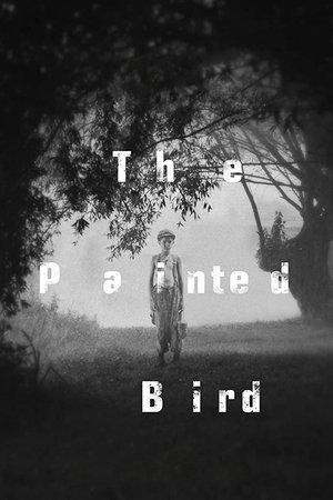 The Painted Bird streaming