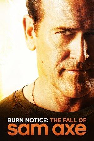 Sam Axe, La dernière Mission streaming