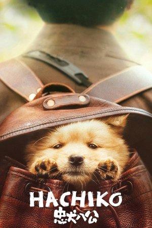 Hachiko streaming