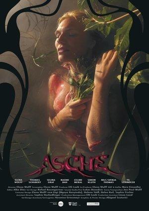Asche streaming