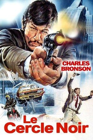 Le Cercle noir streaming