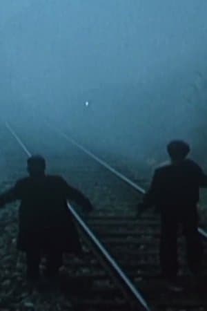 Binarët streaming