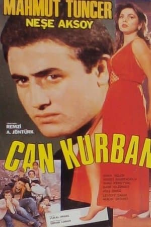 Can Kurban streaming