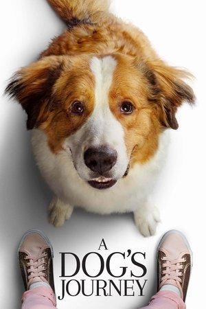 A Dog's Journey streaming