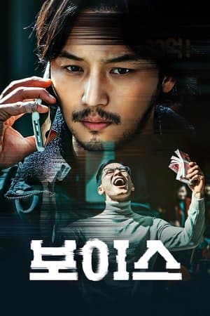 보이스 streaming
