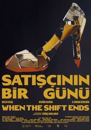 Satışçının Bir Günü streaming