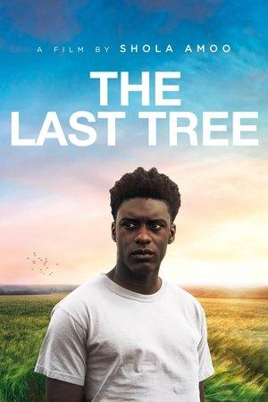The Last Tree streaming