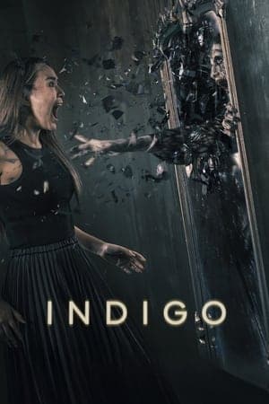Indigo streaming
