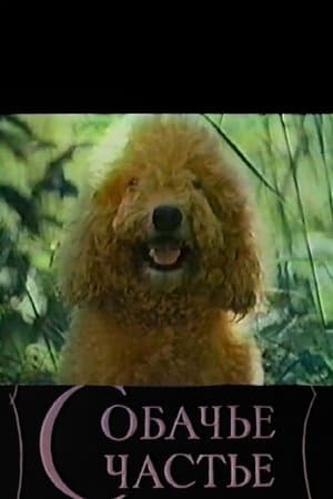Dog's Happiness streaming