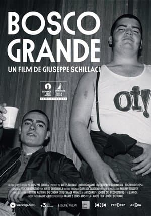 Bosco Grande streaming