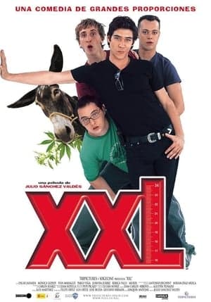 XXL streaming