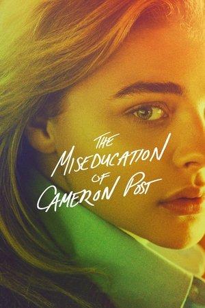 The Miseducation of Cameron Post streaming