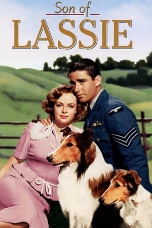 Son of Lassie streaming