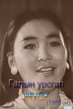 Галын урсгал streaming