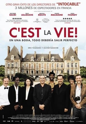 C'est la vie streaming
