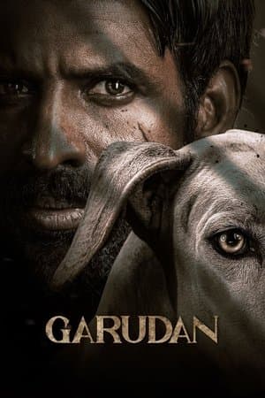 கருடன் streaming