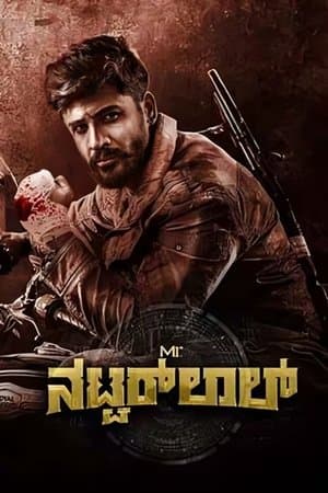 Mr. Natwarlal streaming