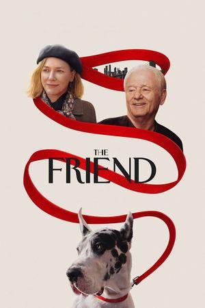 The Friend streaming
