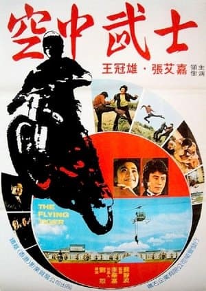 飛虎小霸王 streaming