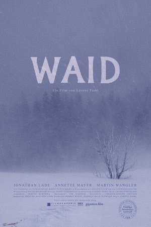 Waid streaming