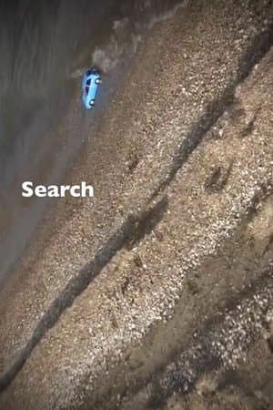 Search streaming