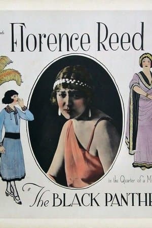 The Black Panther's Cub streaming