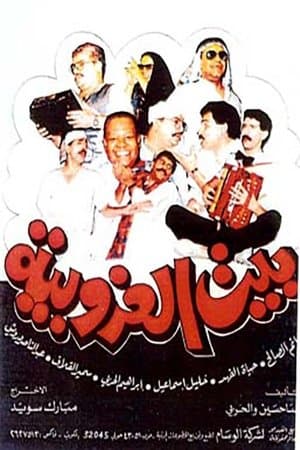 Bachelors House streaming