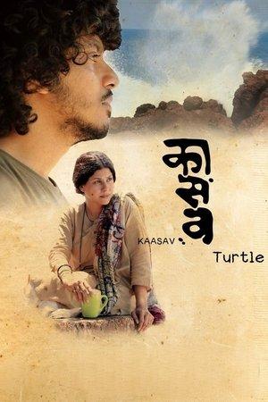 Kaasav: Turtle streaming