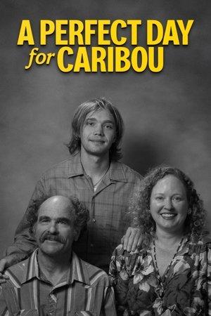 A Perfect Day for Caribou streaming