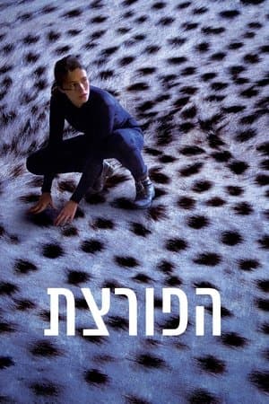 הפורצת streaming