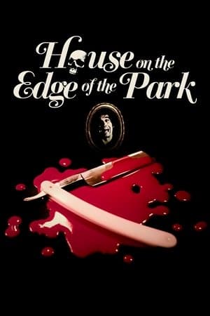 House on the Edge of the Park streaming