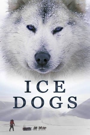 Ice Dogs: The Only Companions Worth Having streaming